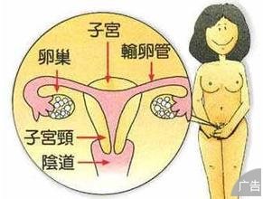 输卵管肿瘤的症状是怎样的