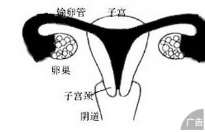 输卵管肿瘤是什么原因导致的