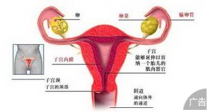女性输卵管肿瘤的危害有什么