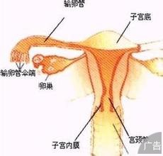 输卵管肿瘤的检查项目有哪些?