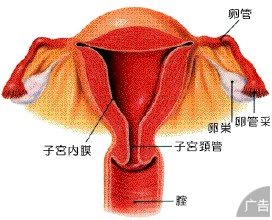 检查子宫内膜炎的方法有什么？